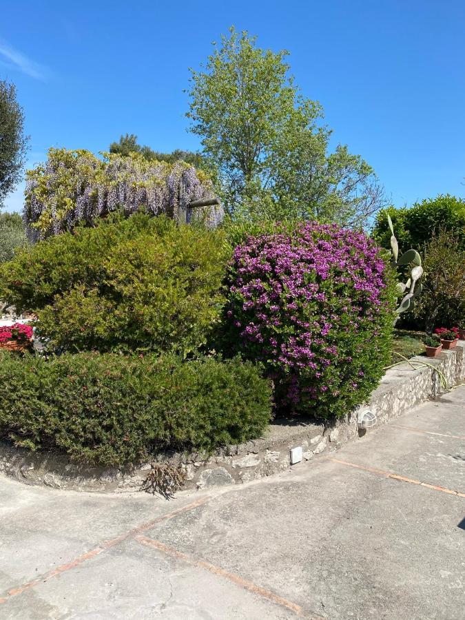 Casaale Villa Anacapri  Exterior photo